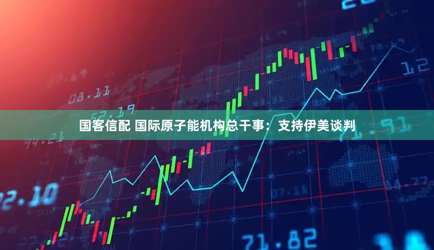 国客信配 国际原子能机构总干事：支持伊美谈判